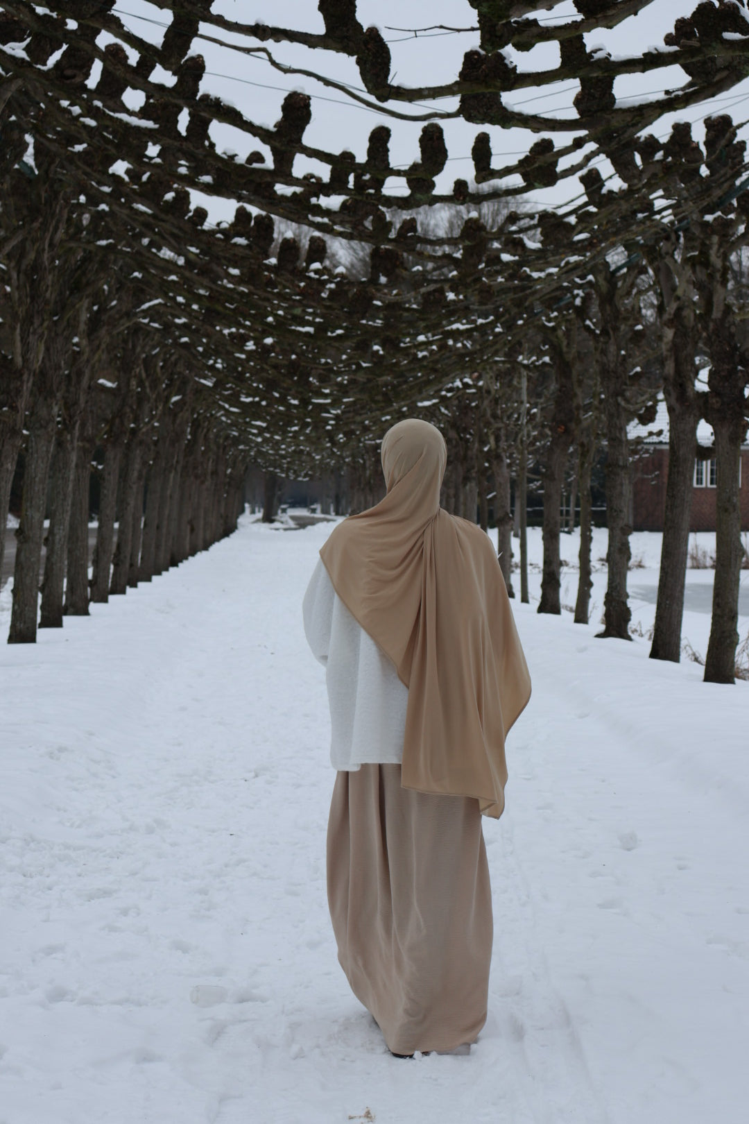 Mushroom Beige | Sandy Premium Jersey